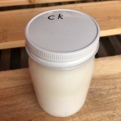 Camel Kefir – Glass – PINT