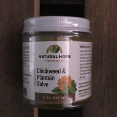 Chickweed & Plantain Salve – 1oz