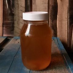 Kombucha – QUART