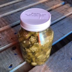 Pickled Okra