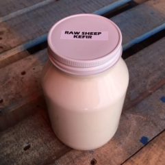 Sheep Kefir – Glass – QUART