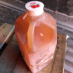 Raw Apple Cider