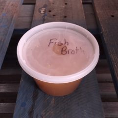 Fish Broth