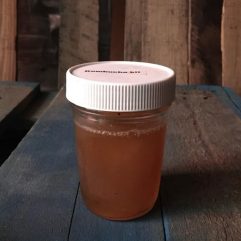 Kombucha – SCOBY- per Kit