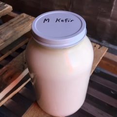 Cow Kefir – A2/A2 – Glass