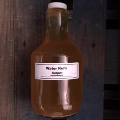 Water Kefir – QUART