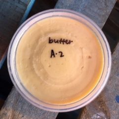 Frozen Cultured Cow Butter-A2/A2-NS