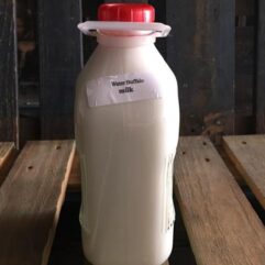 Buffalo Milk – Fresh – Glass