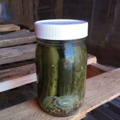 Whole Dill Pickles