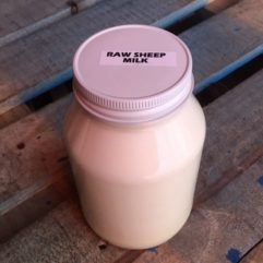 Sheep Milk – FRESH – Glass