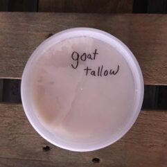 Goat Tallow – PINT