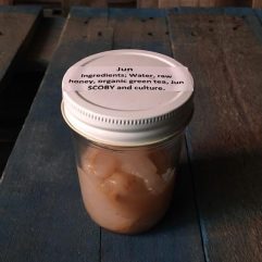 Jun Kombucha Culture – per Kit